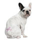 Illustration for article titled To Quicken the Demise of Humanity, Try Giving Your Dog a Temporary Tattoo.